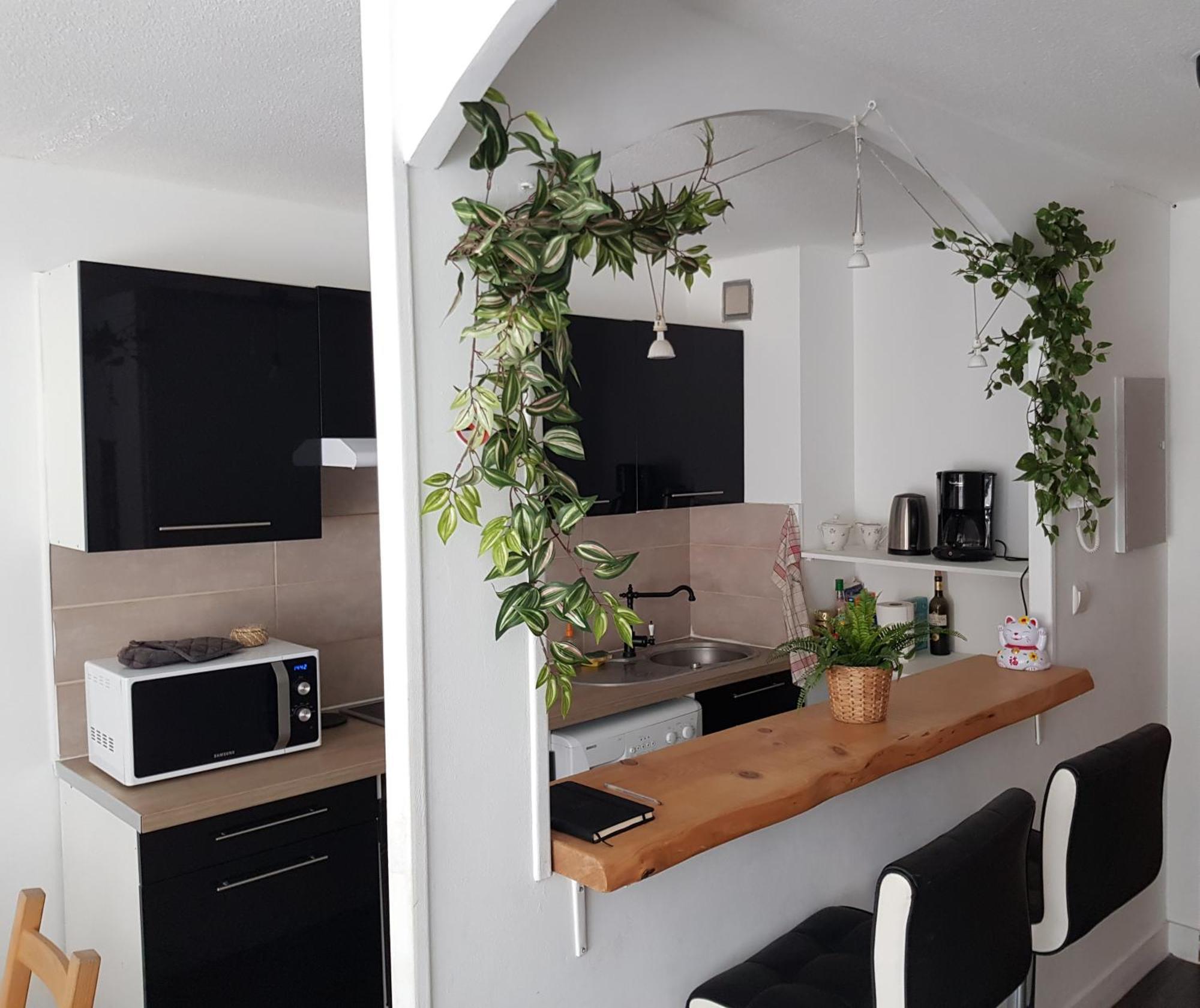 Le Petit Thai Appart 2 Pieces Zen Centre Ville Montpellier Ngoại thất bức ảnh